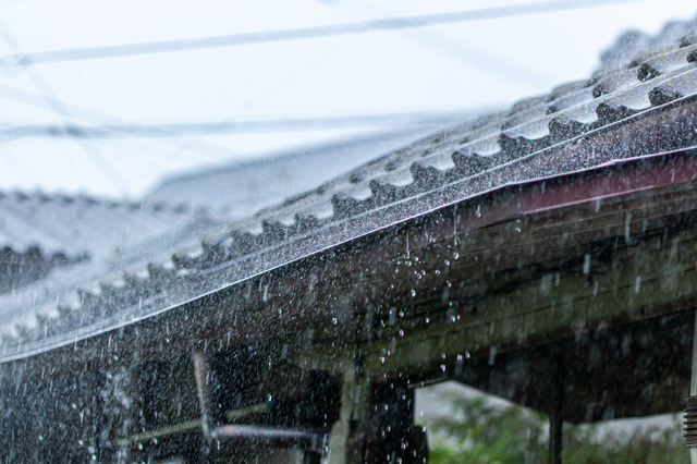 他の雨漏り業者さんに依頼されても構いません！とにかく早く早く雨漏り修理してください！